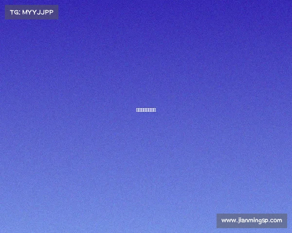 极昼科技有限公司